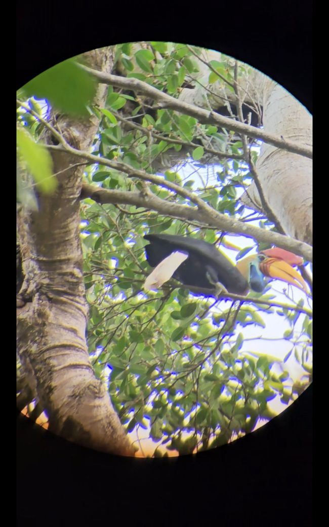 Tangkoko National Park