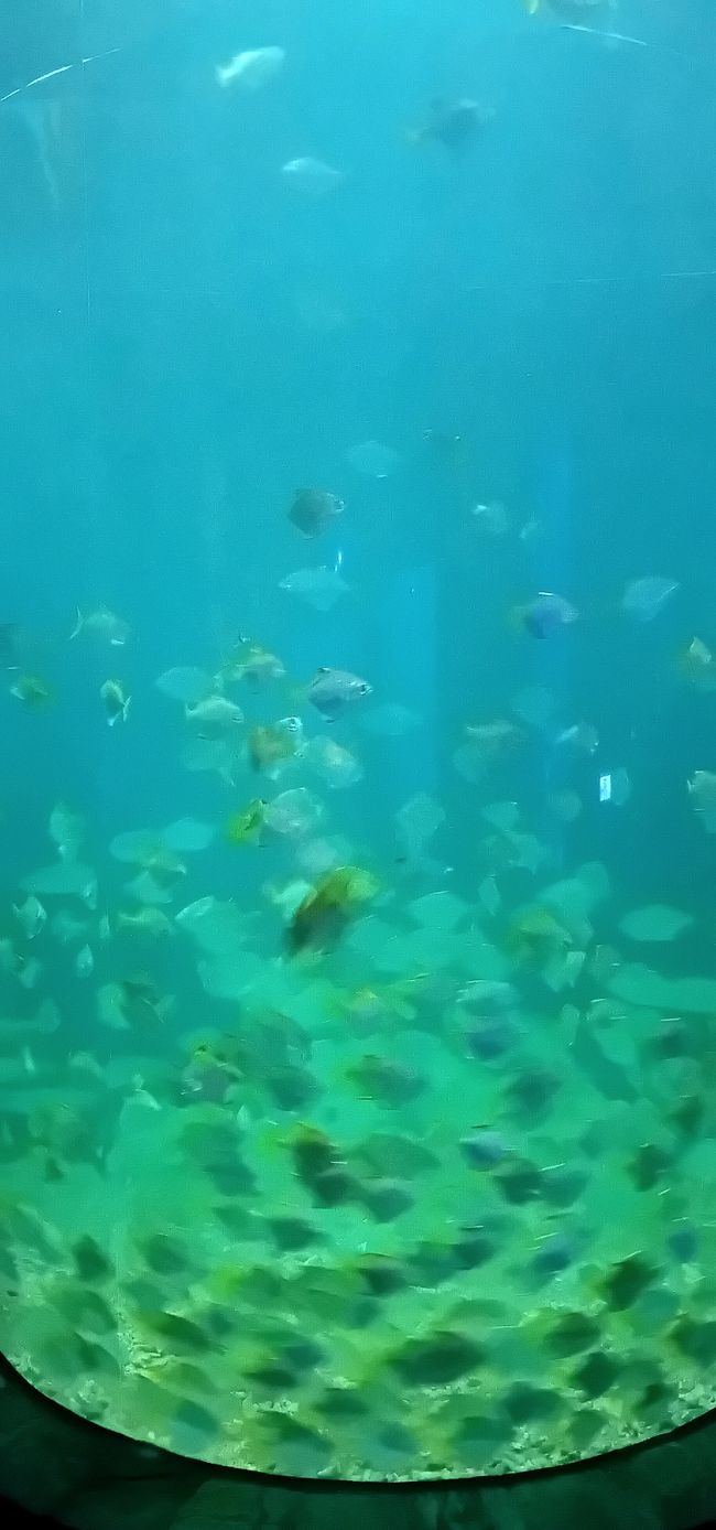 Checheng / Museo Nazionale di Biologia Marina & Museo