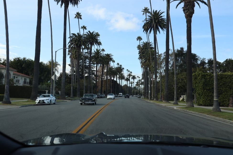 Hollywood