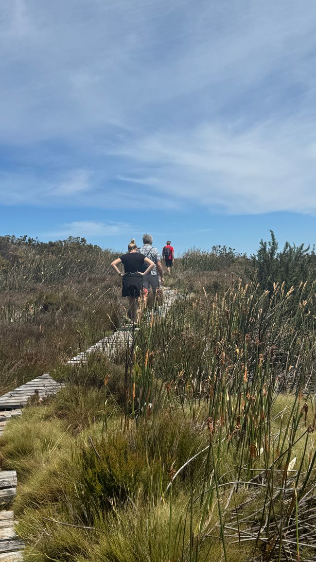 Ciudad del Cabo – Monte de la Mesa, Bo-Kaap y Green Point