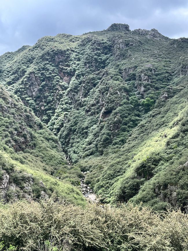 Trekking