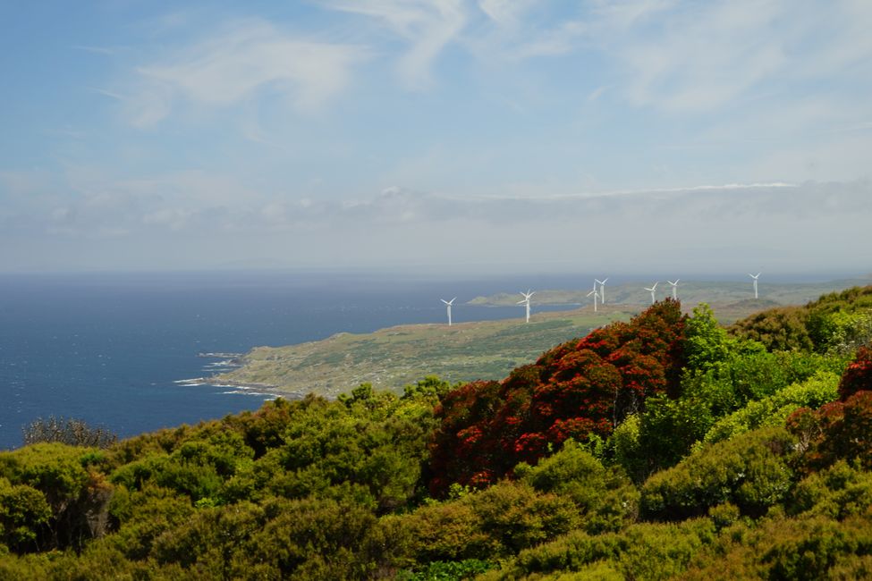 Clifden - Monkey Island - Riverton - Invercargill - Nugget Point