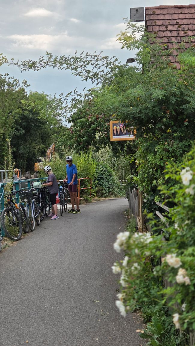 Colmar die Weinhauptstadt im
Elsass