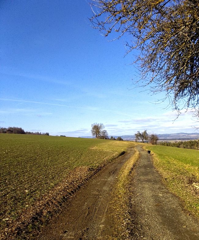 Im Villenviertel über Maulwurf Hills- oder welches Häusla hättens gerne?