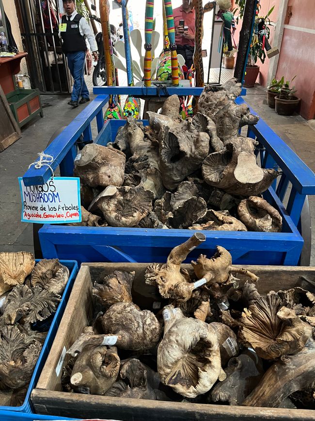 Riesige hölzerne Pilze werden verkauft