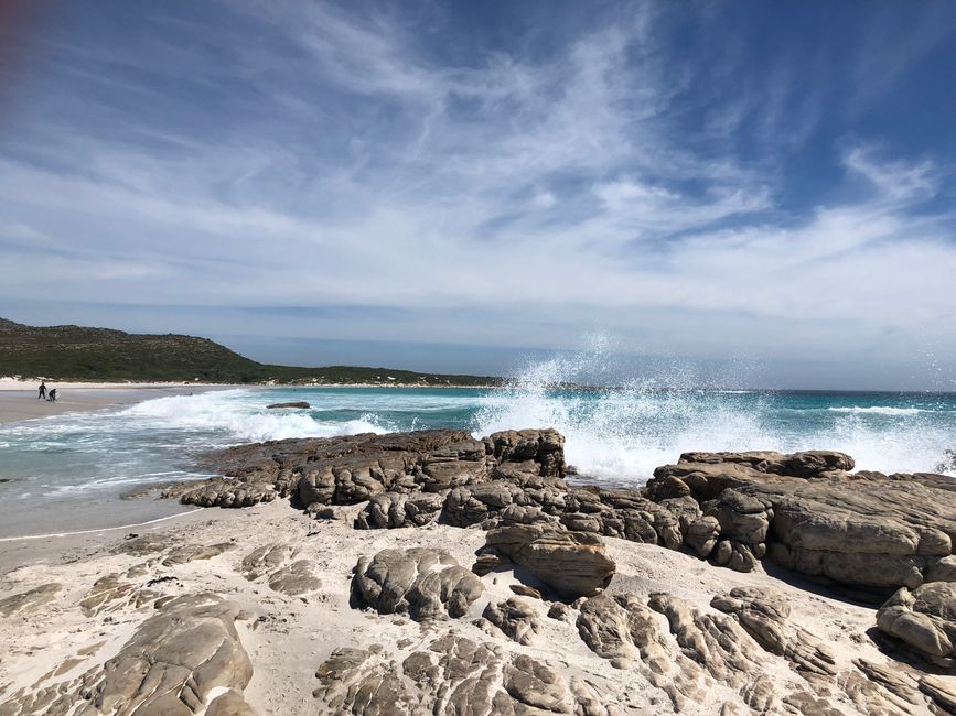 Scarborough Beach