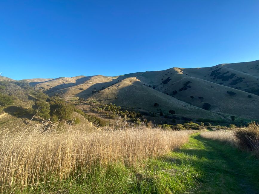 Nelson, Queen Charlotte drive, Picton, Kaikoura, Blenheim