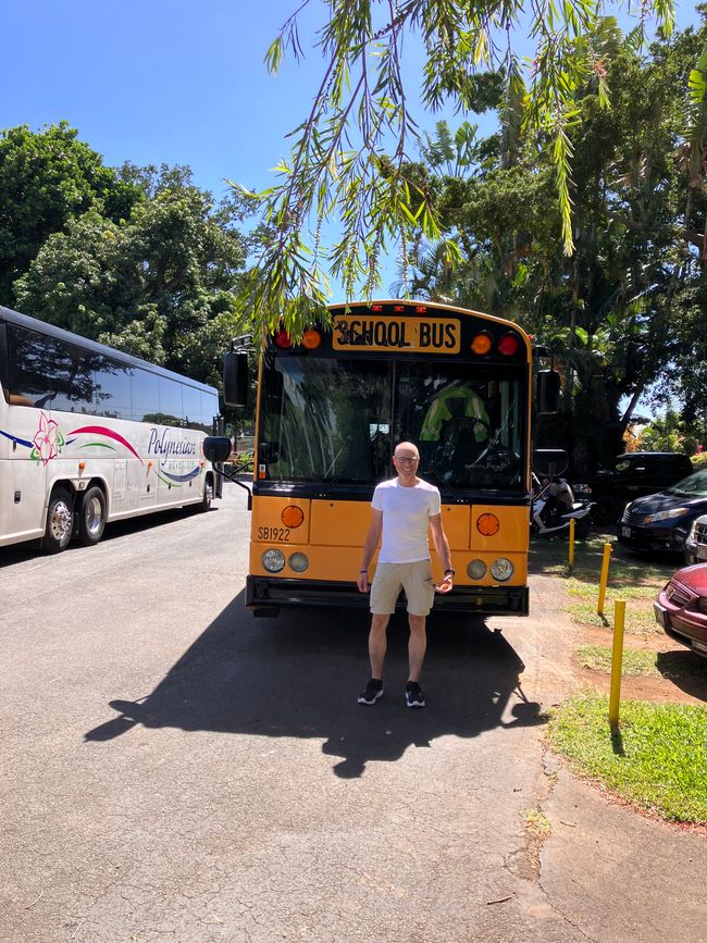 Excursión de todo el día a la gran isla de D2