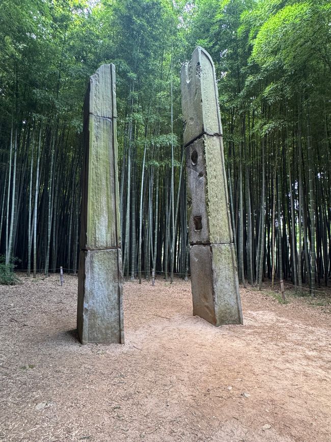 Foresta di bambù e una storia commovente