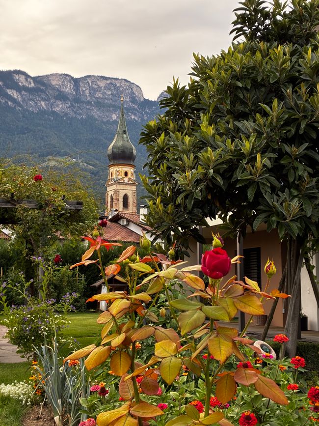 Hallo, Südtirol!