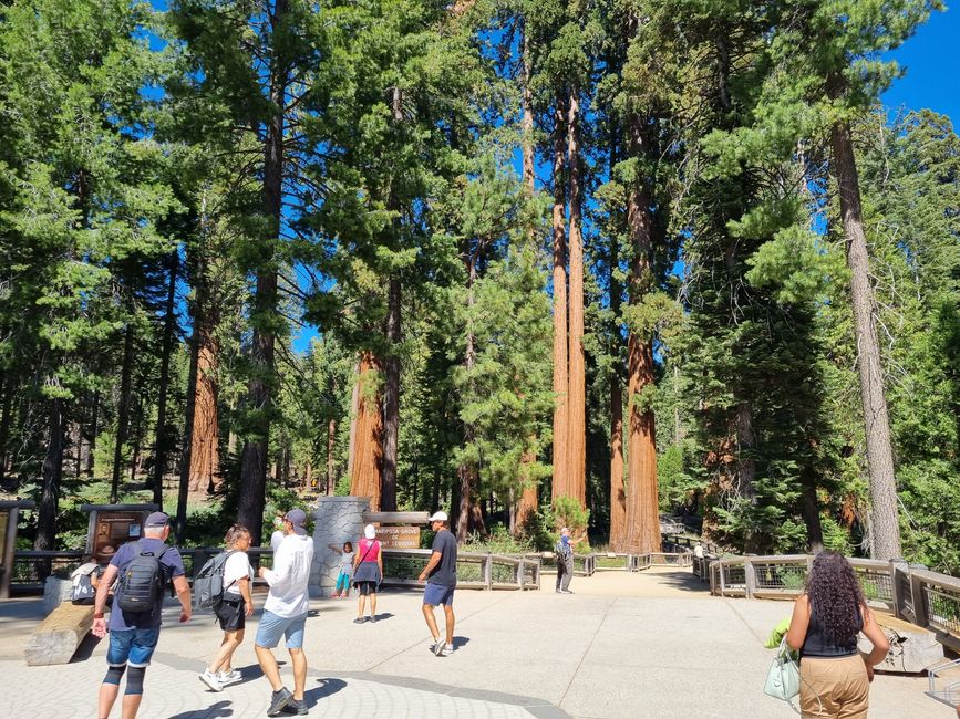 Kalifornien 2025, Tag 6, Yosemite National Park