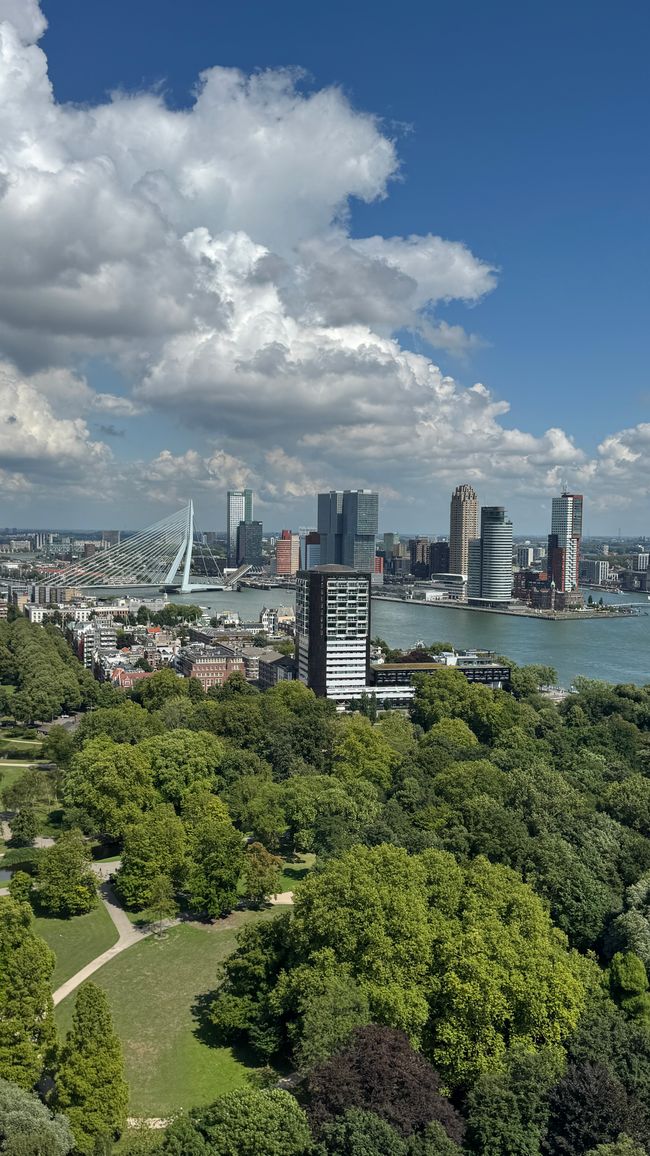 Rotterdam Blick auf Erasmusbrücke