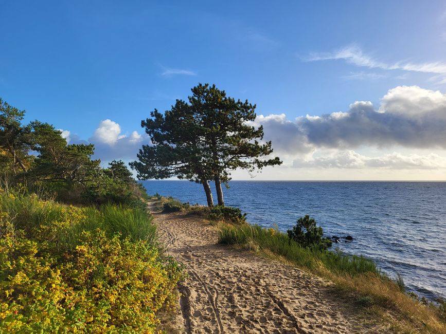 Bornholm Norte y Rønne - viajando con la AIDAmar