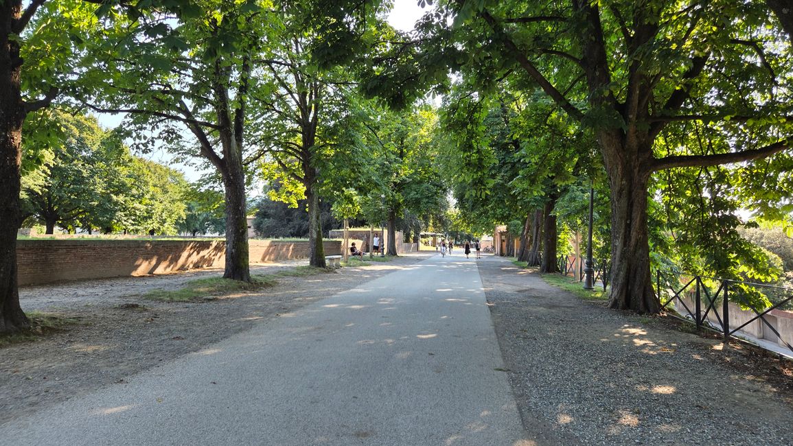 Lucca Stadtmauer