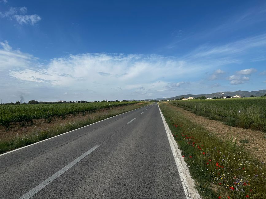 Von Girona nach Valencia