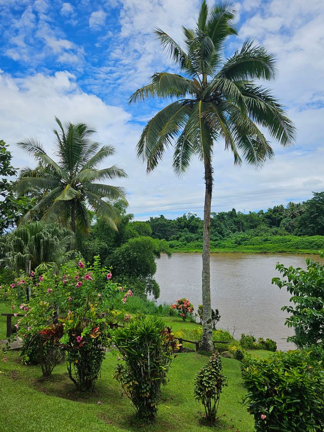 51. Tag Suva, Fiyi 14.01.2026