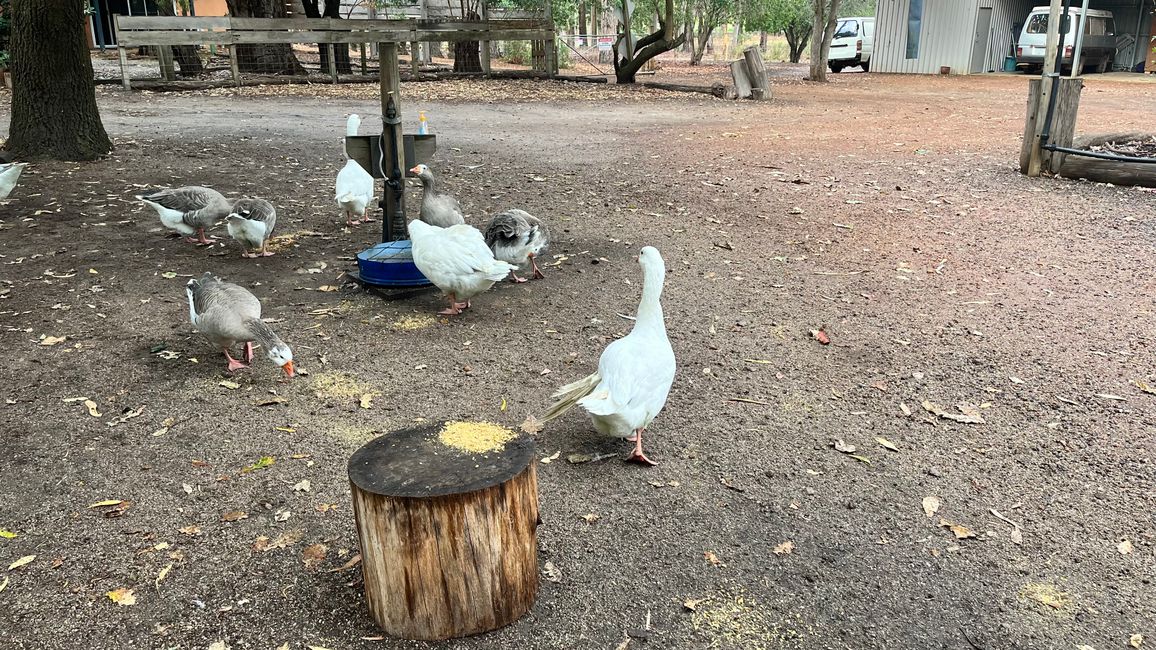 Margaret River
