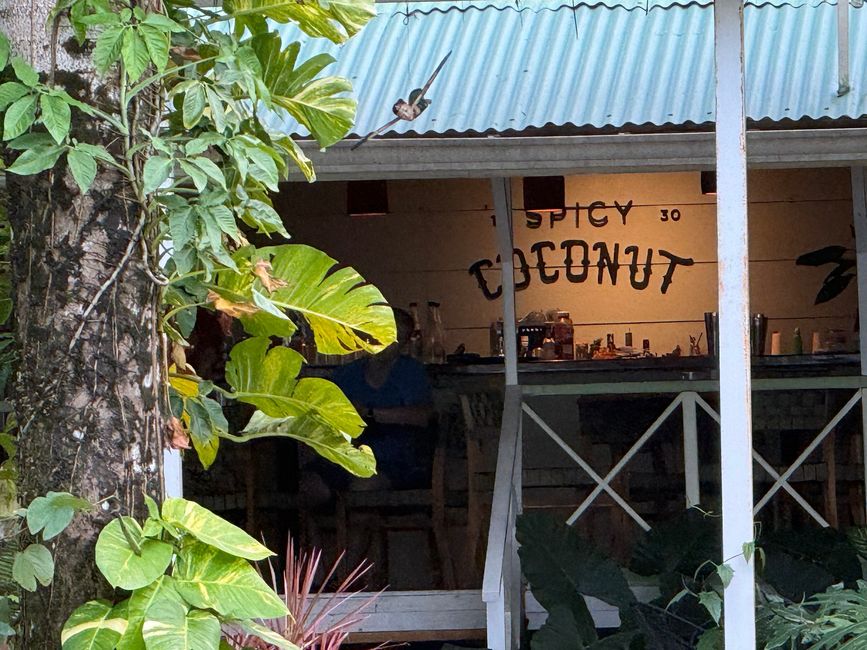 Die Strandbar "Spicy Coconut"