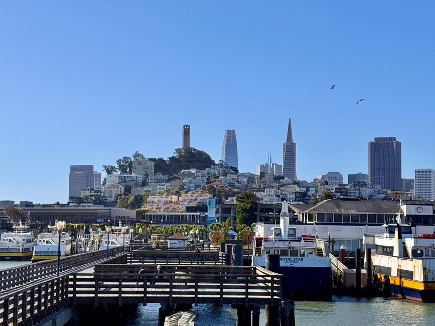 Coit Tower, Salesforce Tower & Transamerica Pyramid