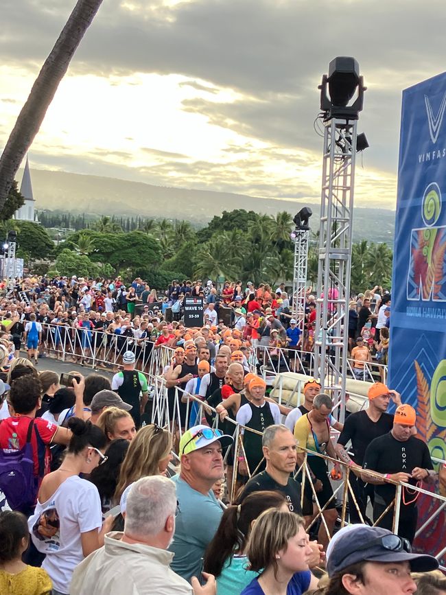 Swimmers lining up to the start