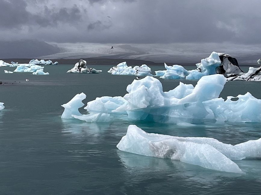Glace de glacier