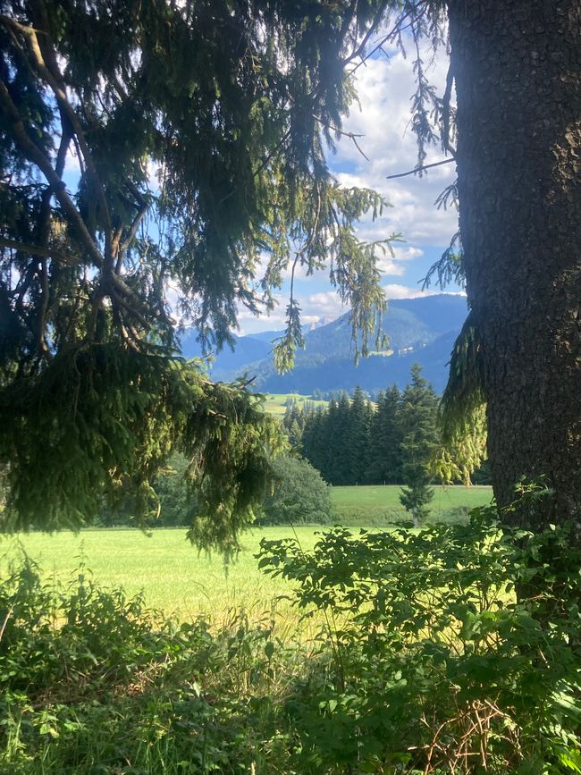 Das Wandern ist des Fischers  Lust-Ellegghöhe