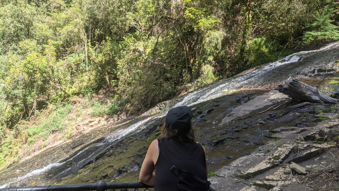 Tarra Bulga & Raymond Island