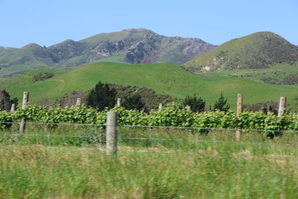 Direction Marlborough Country