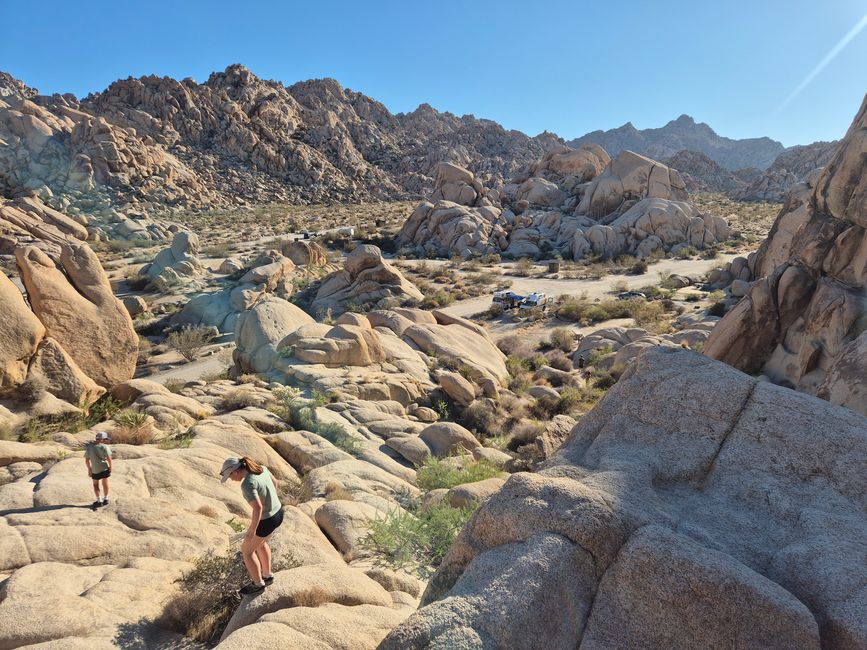Joshua Tree