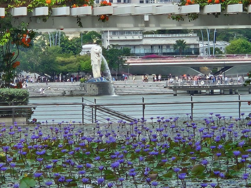 92. & 93. 新加坡之旅 24. & 25. 02.2026