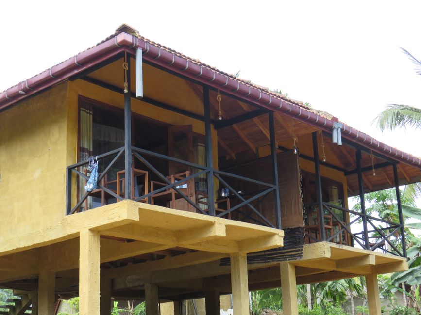 Sinharaja - l'ultima foresta pluviale dello Sri Lanka