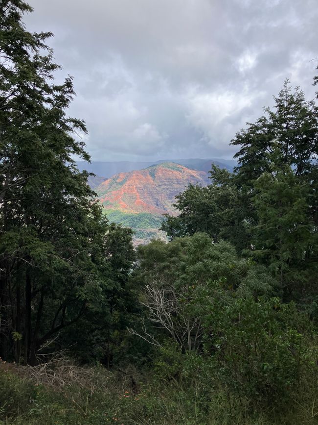 D19 - Yoga, Running and hiking Kukui trail in Waimea canyon with some surprises