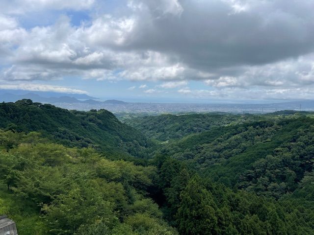 Hakone Super delizioso