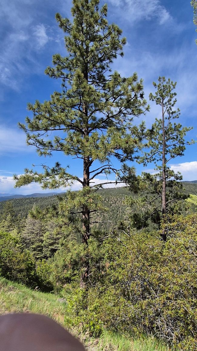 High Road to Taos