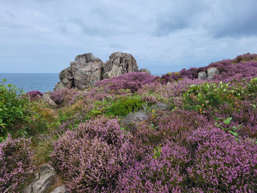 Riserva Naturale Kullaberg