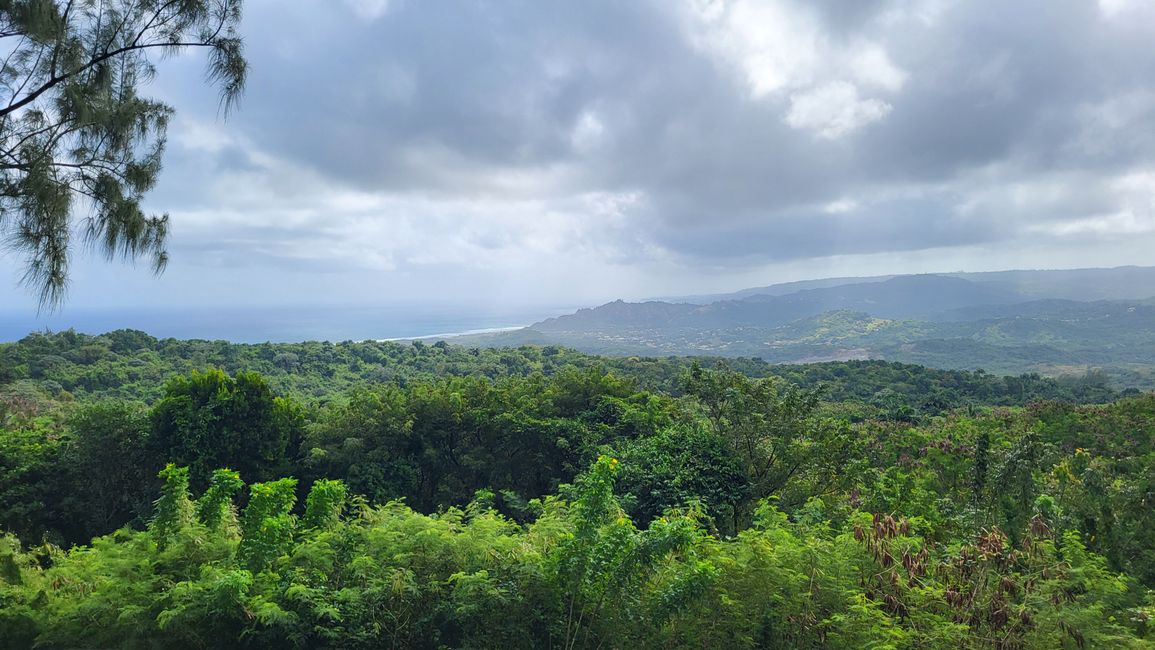 Ausblick beim Farley Hill National Park