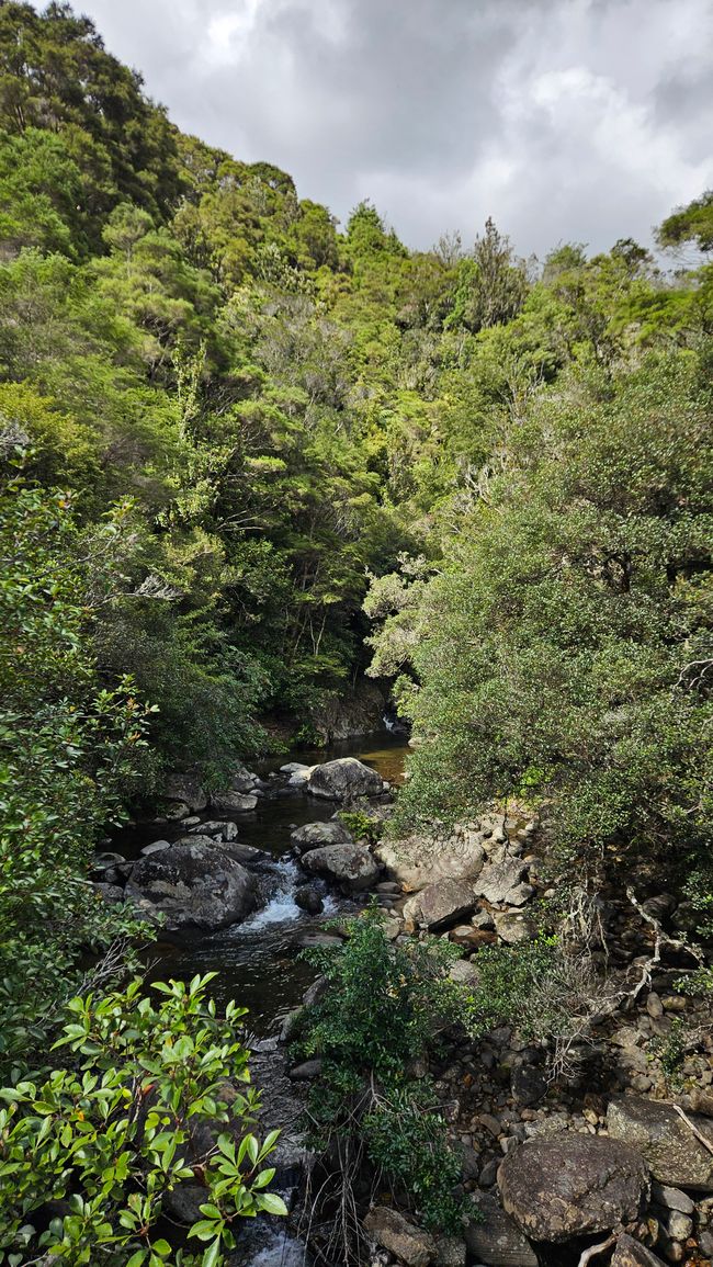 Whangamatā - Mount Paku - Hot Water Beach