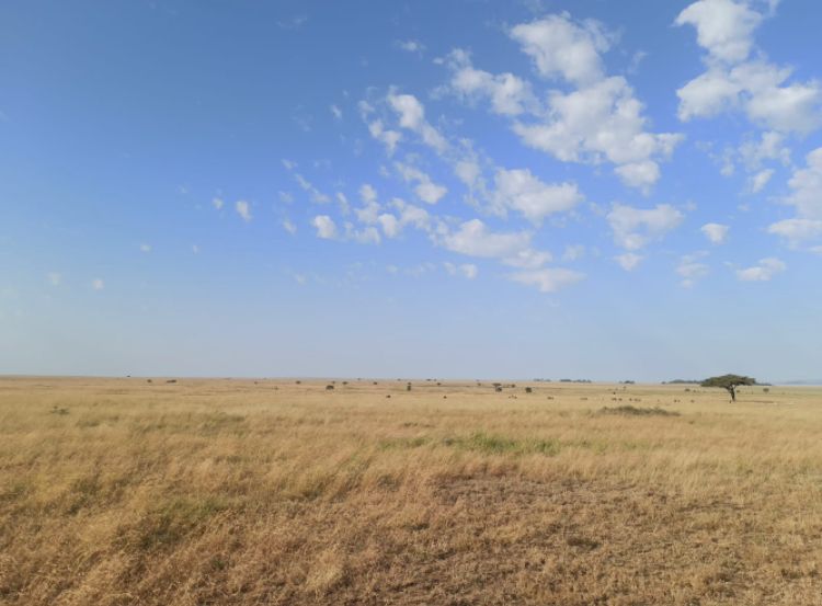 En la Serengeti - Día 1