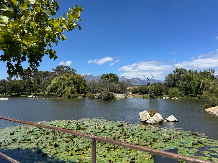 南非🇿🇦第二周