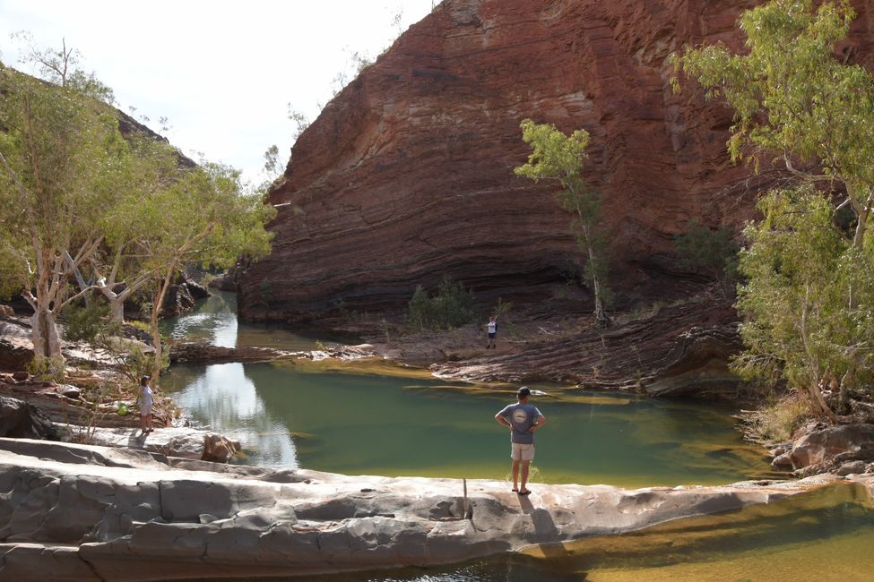 Hamersley Gorge