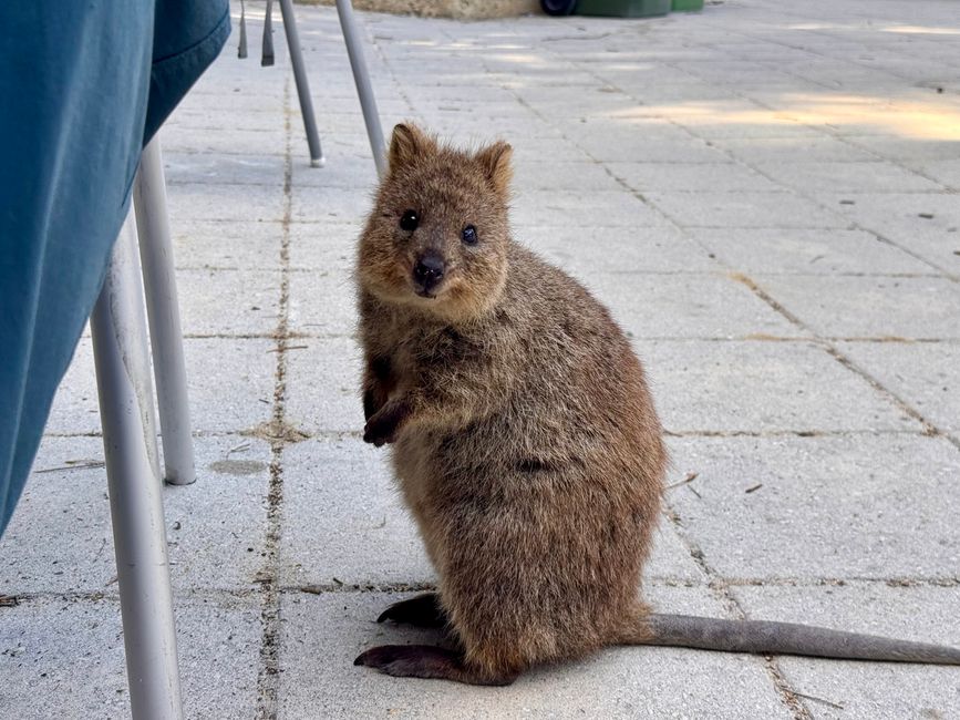 Perth