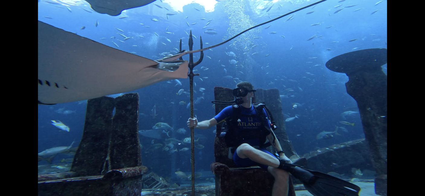 Tag 57 - Dubai - Atlantis - Lost Chambers Aquarium - Tauchen 