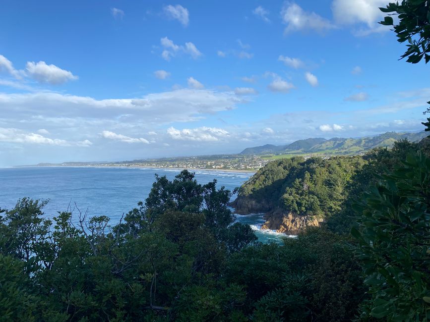 Coromandel loop