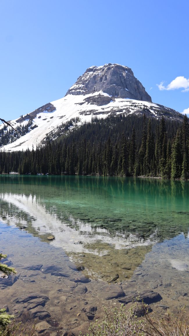 Great Glacier Walk