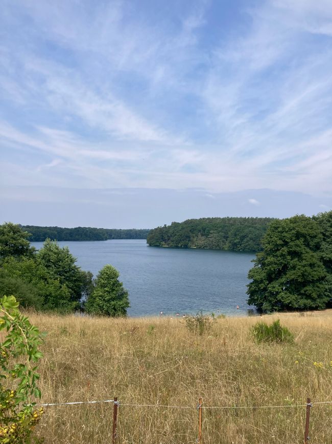 Landregen und Fallada begleiten mich durch die Feldberger Seenlandschaft