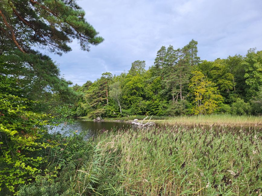 Naturschutzgebiet Hissö