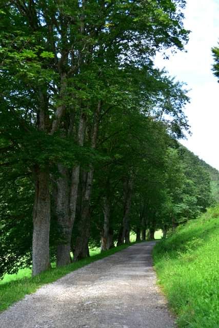 * * * Wacholderhain und Felsgesicht: eine Wanderung in der wilden Schönheit des Lochenpasses * * *