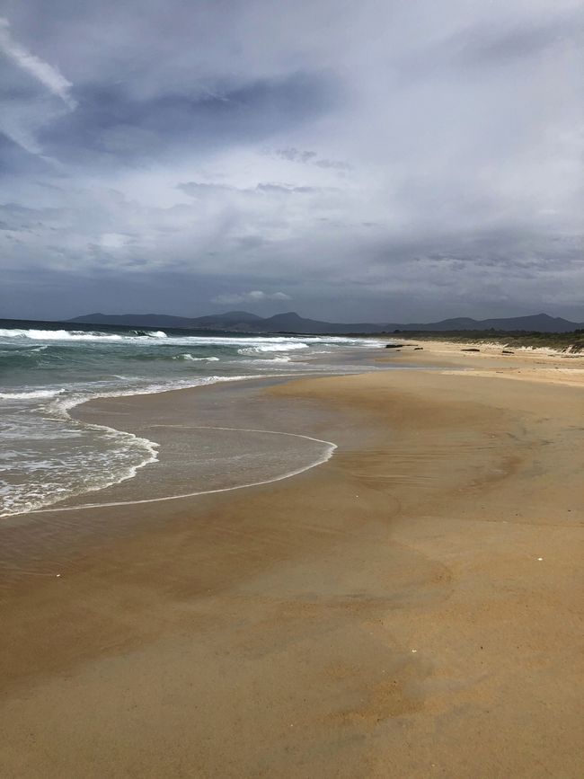 La spiaggia di Scamander ...