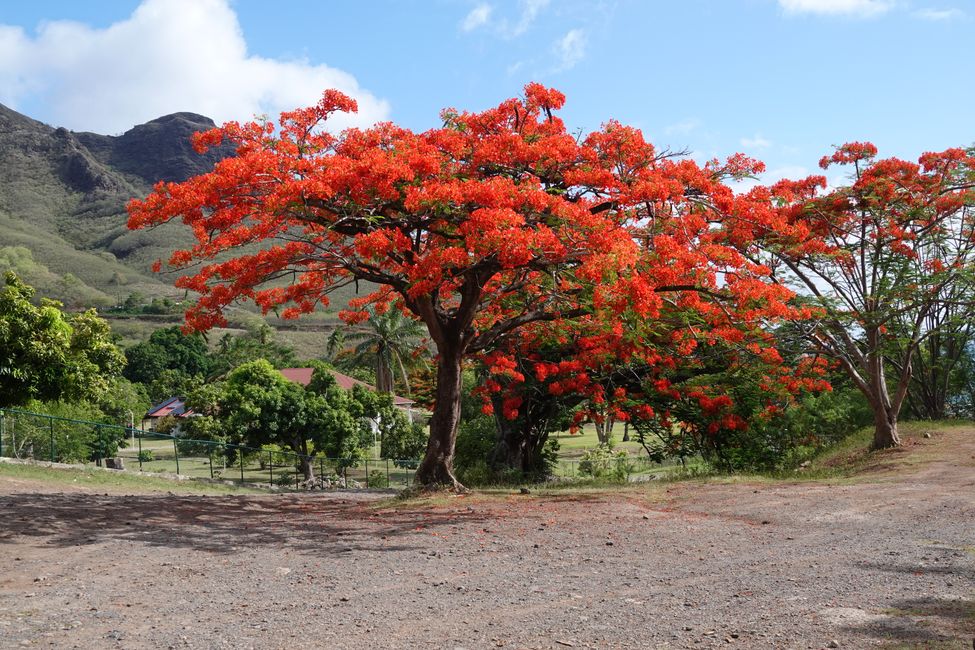 Nuku Hiva ....