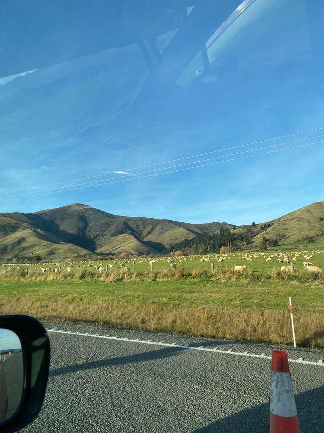 Sulle Haast Pass